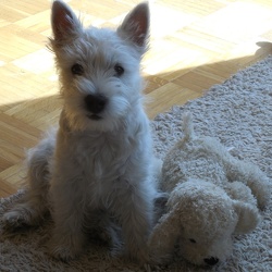 Deja Vu im neuen Zuhause